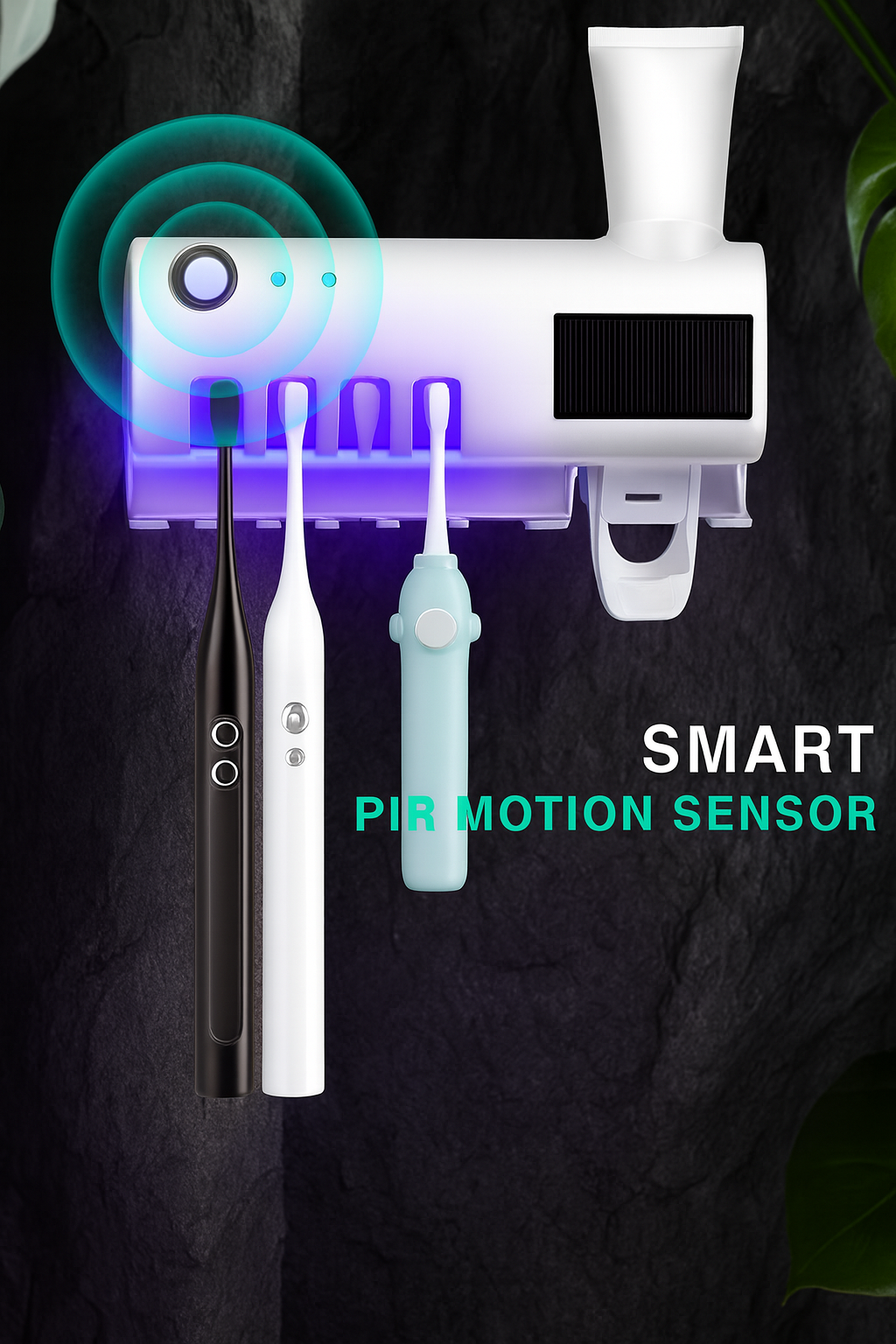Support distributeur de dentifrice